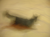 s_B_PICT0045_thumb.png